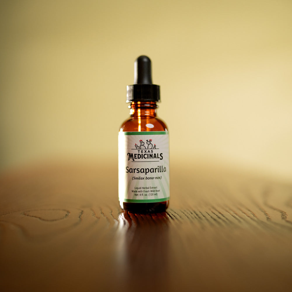 Sarsaparilla (Smilax bona-nox)