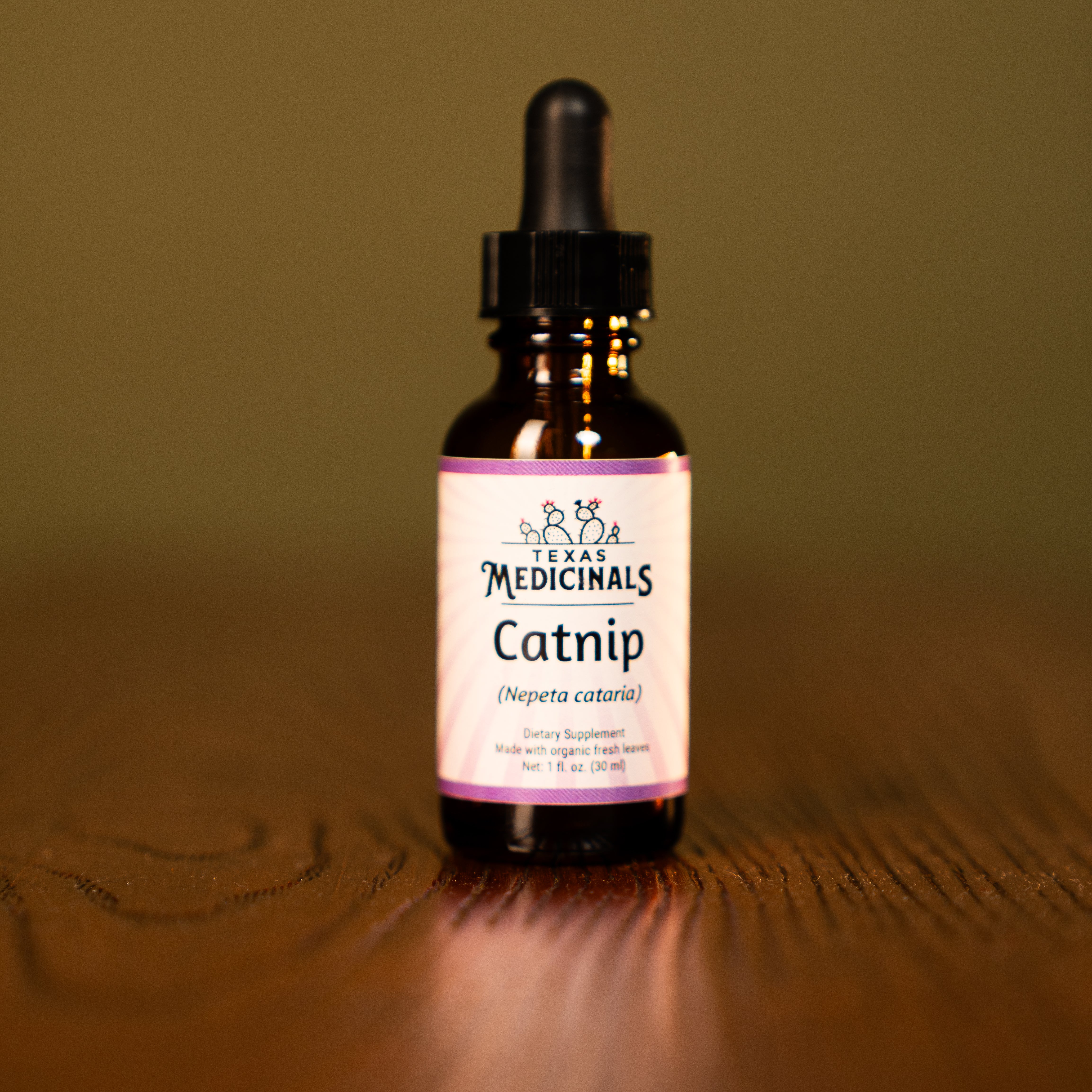 Catnip (Nepeta cataria)
