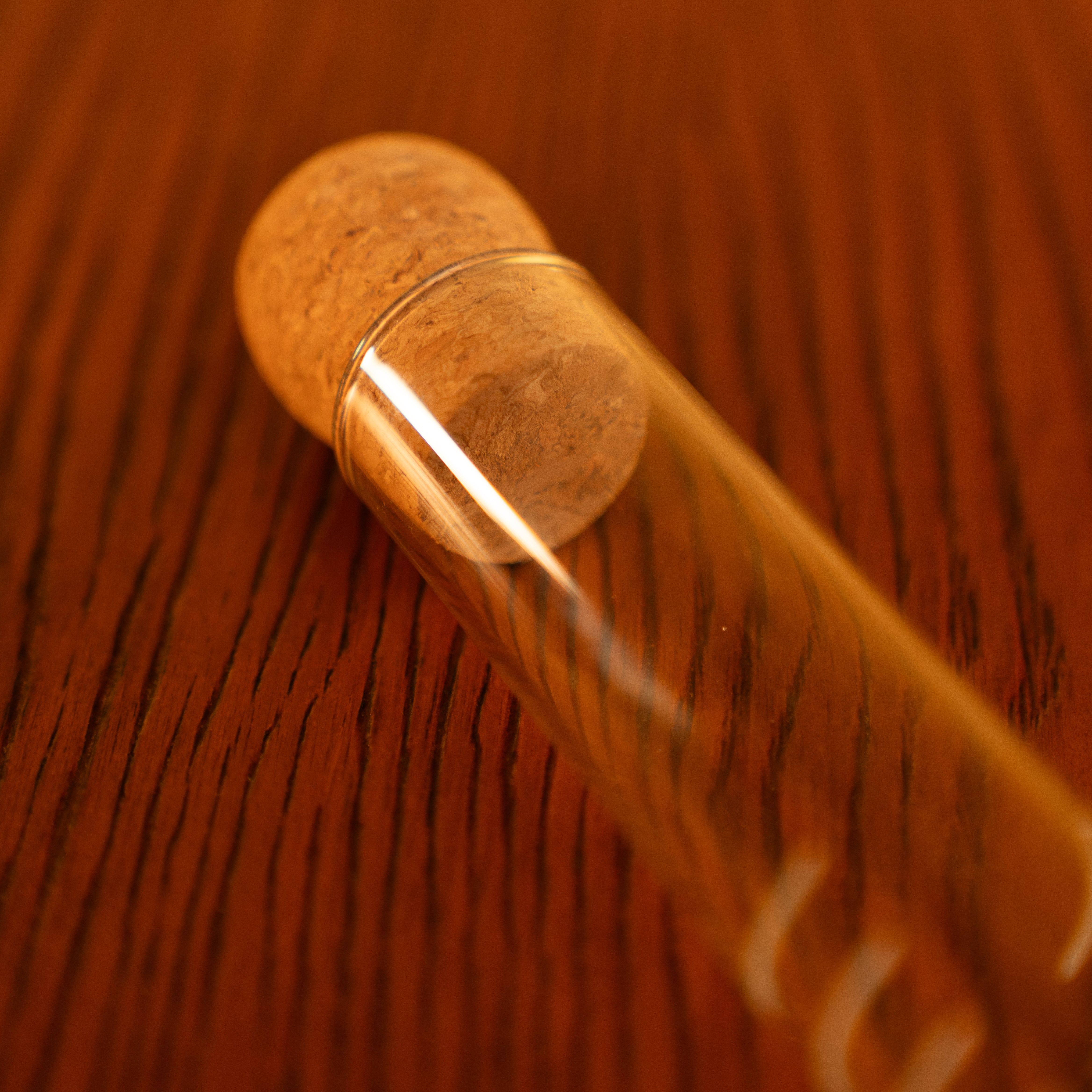 Reusable Glass Test Tube Tea Infuser